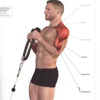 Triceps & Back Rope Attachment – Push & Pull Exercises