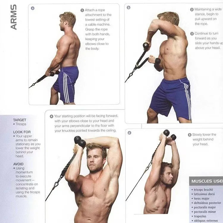 Triceps & Back Rope Attachment – Push & Pull Exercises